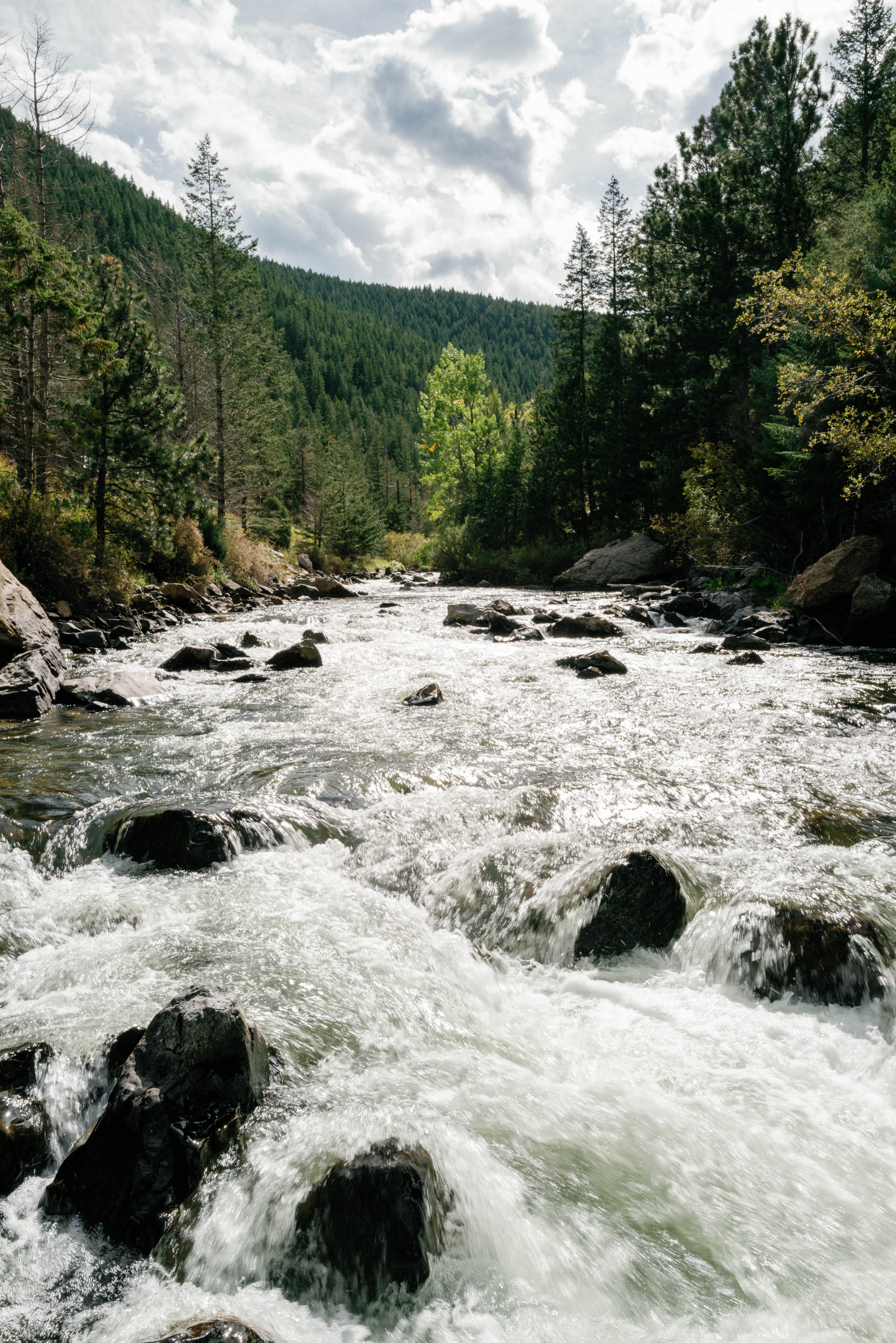 aj-golden-colorado-engagement-hunter-ryan-photo-159