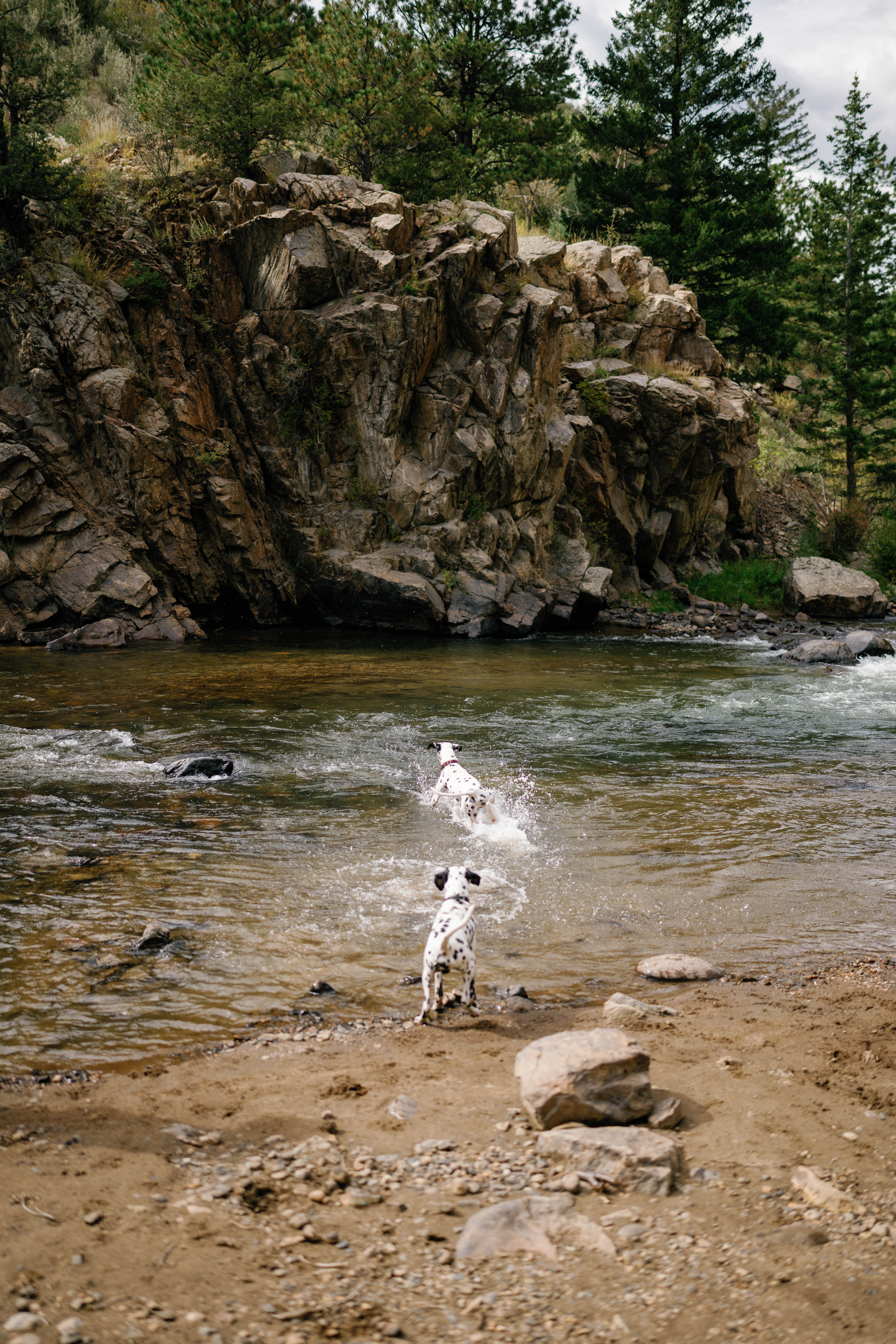 aj-golden-colorado-engagement-hunter-ryan-photo-186