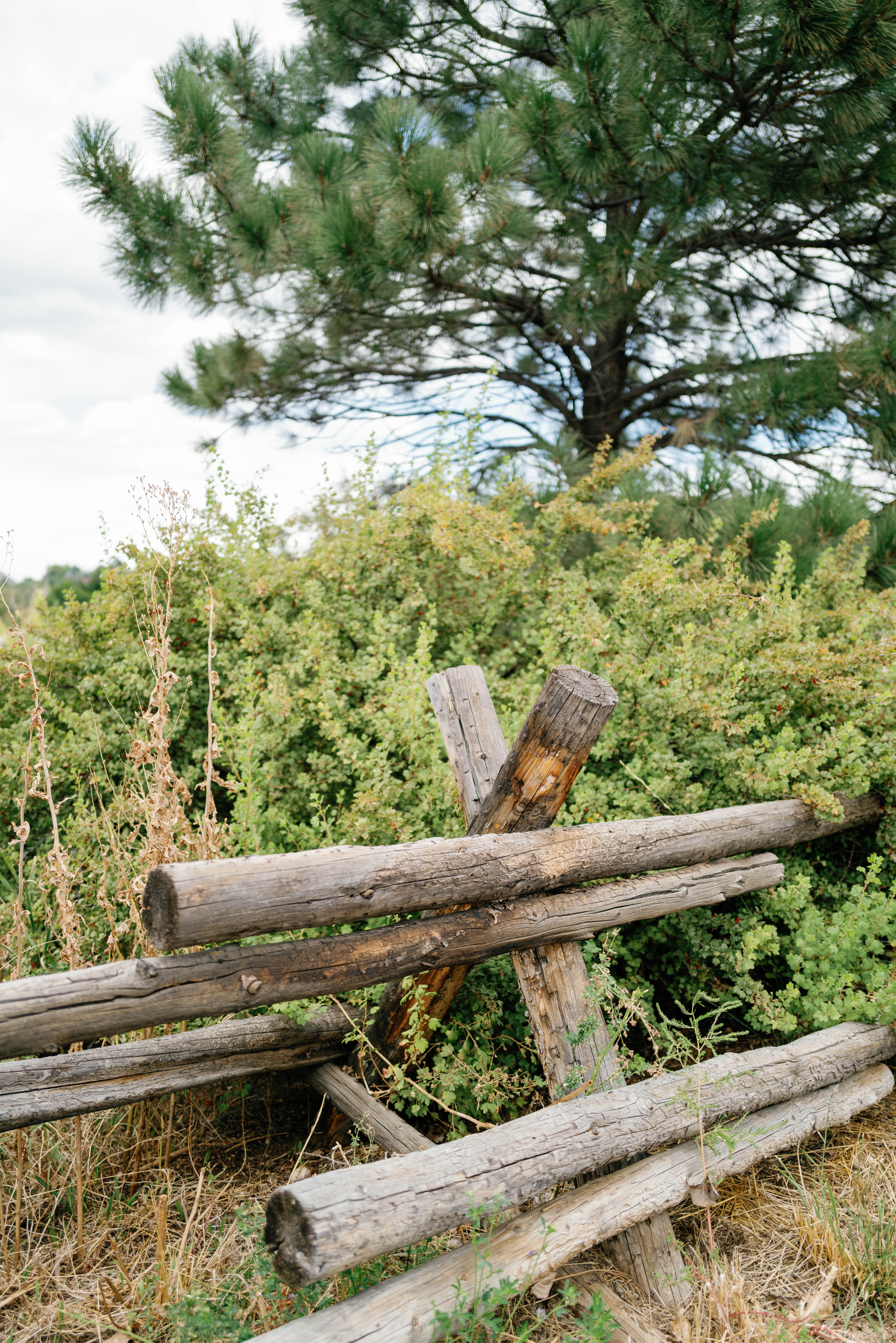 aj-golden-colorado-engagement-hunter-ryan-photo-5