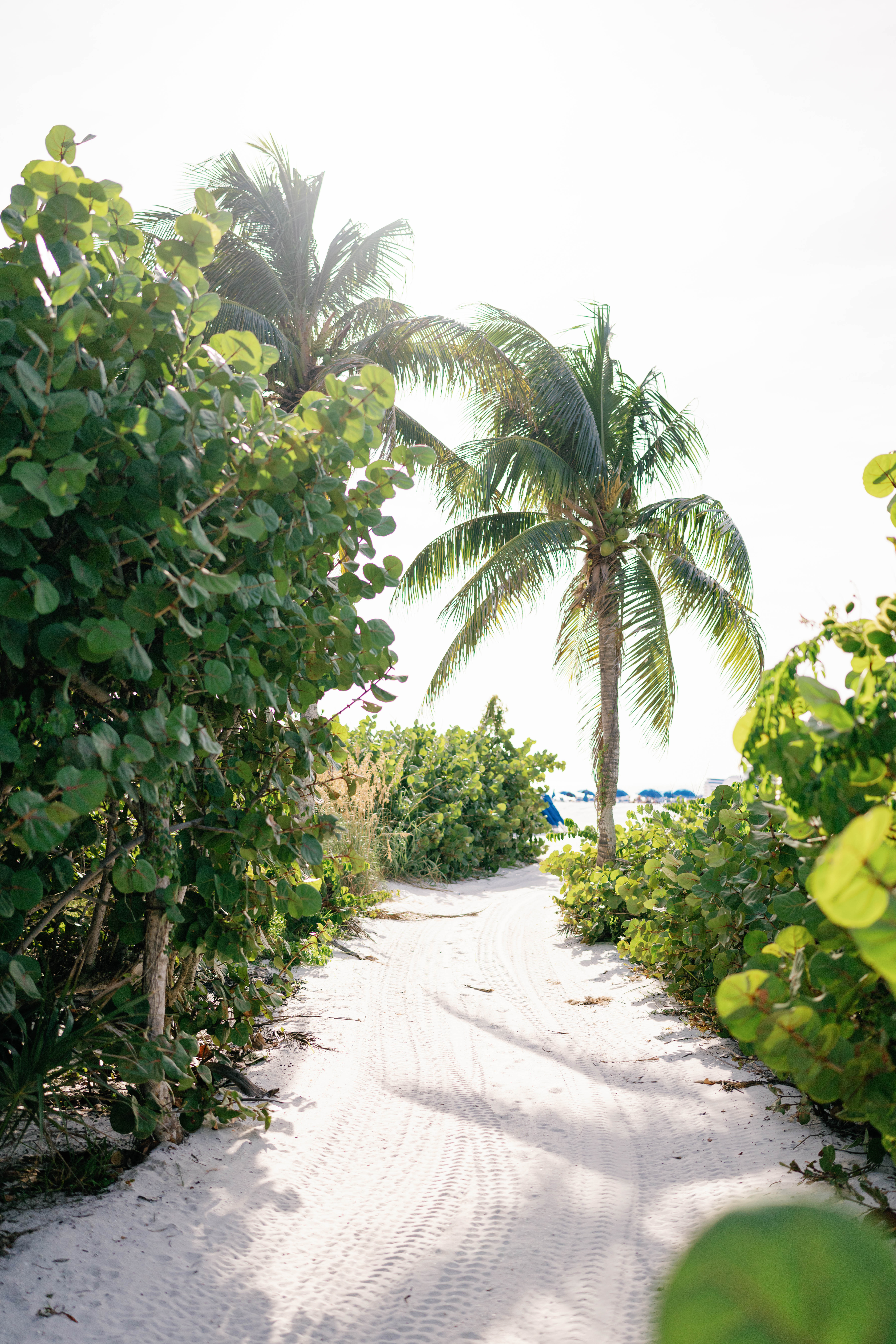 ob-marco-island-wedding-hunter-ryan-photo-2