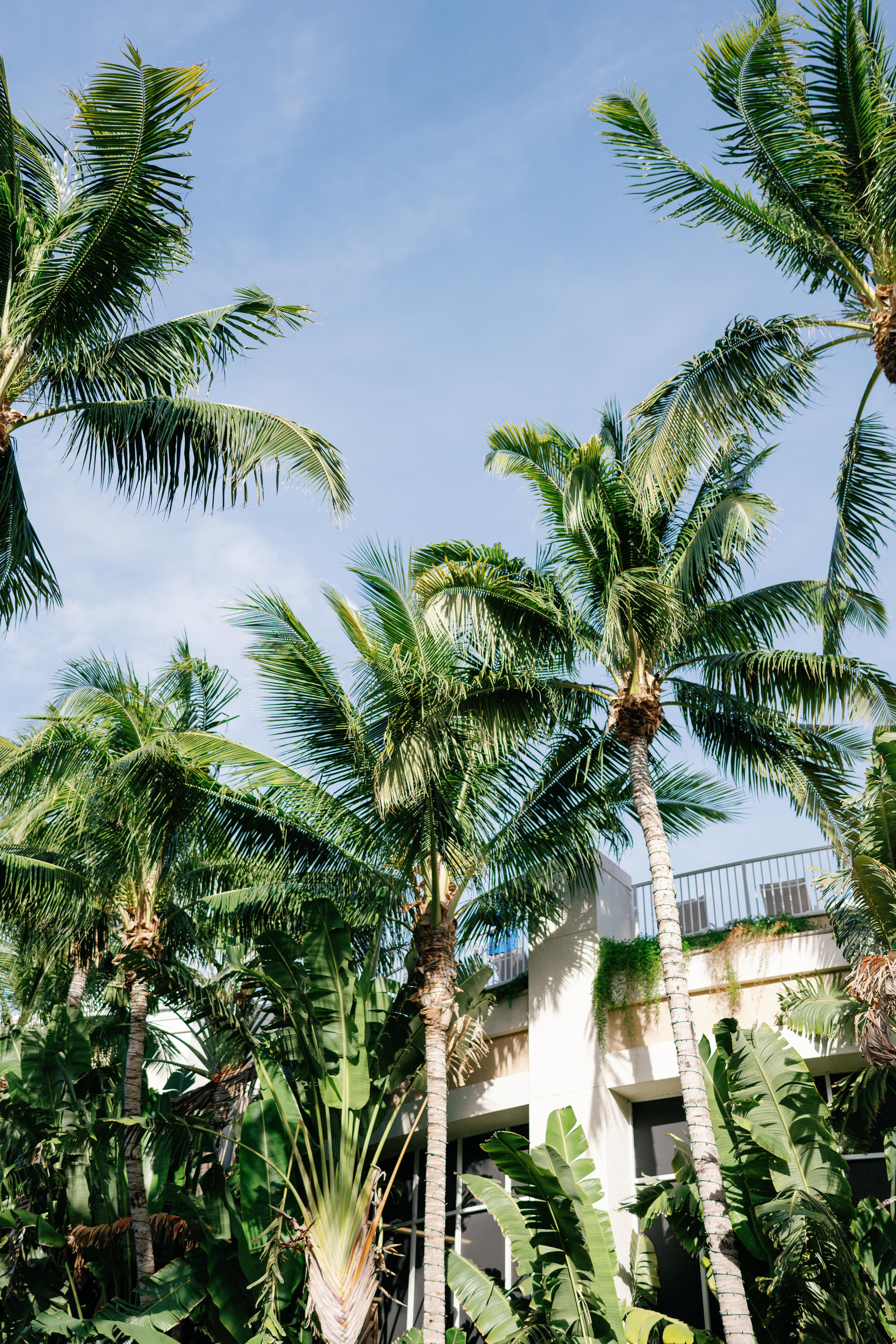 ob-marco-island-wedding-hunter-ryan-photo-5