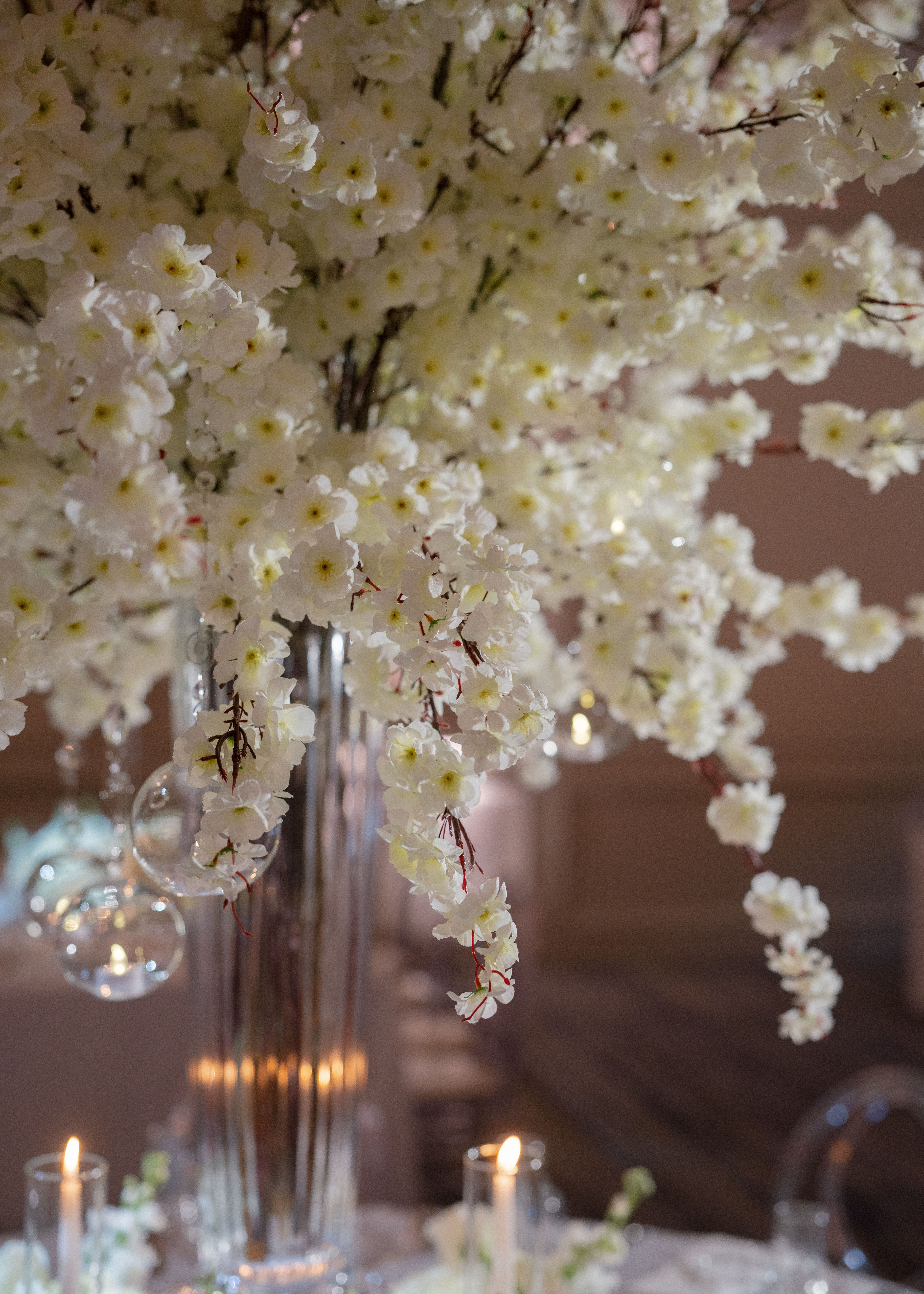 Yana & Brendan Wedding