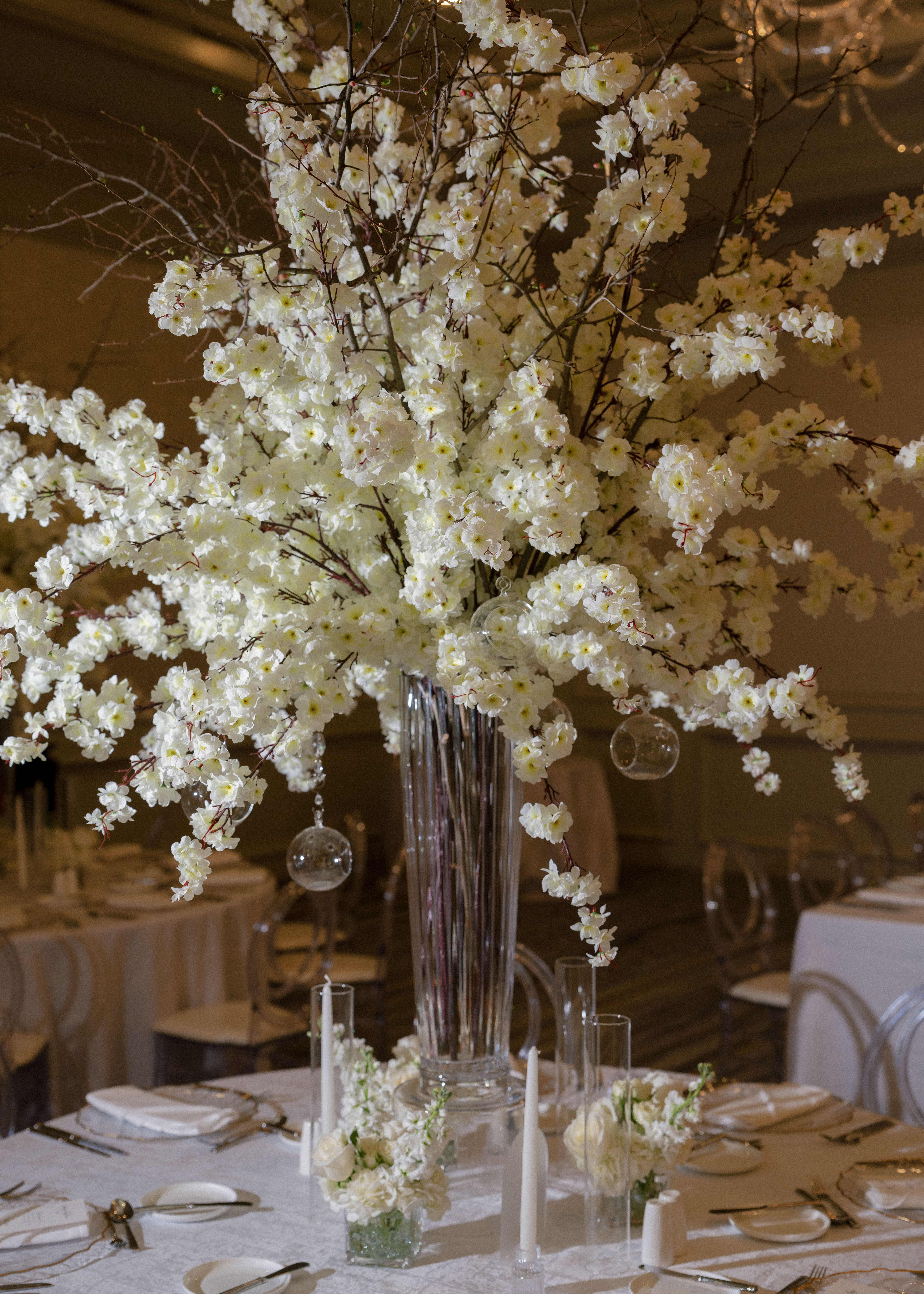 Yana & Brendan Wedding