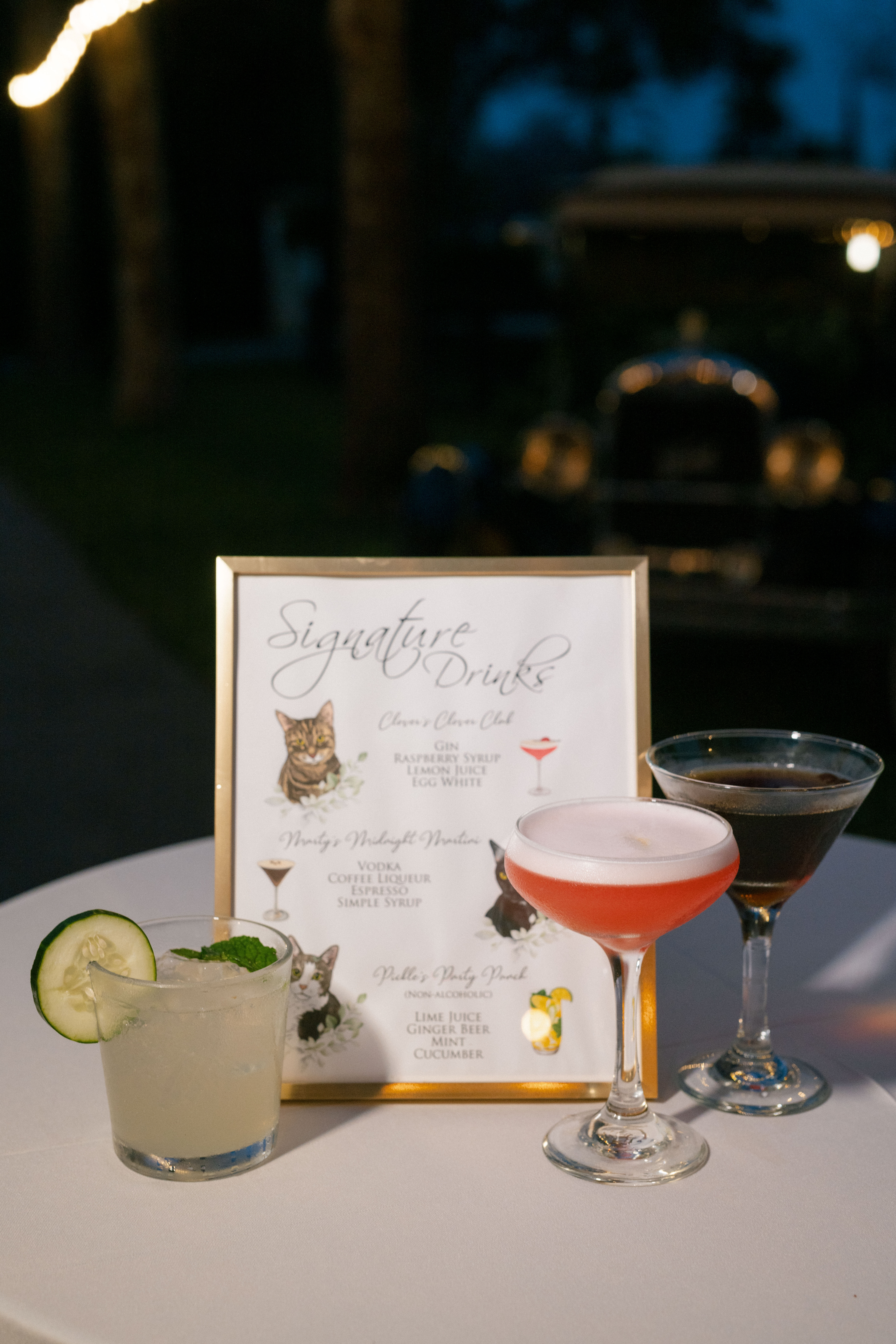 ap mision lago estate wedding hunter ryan photo-110