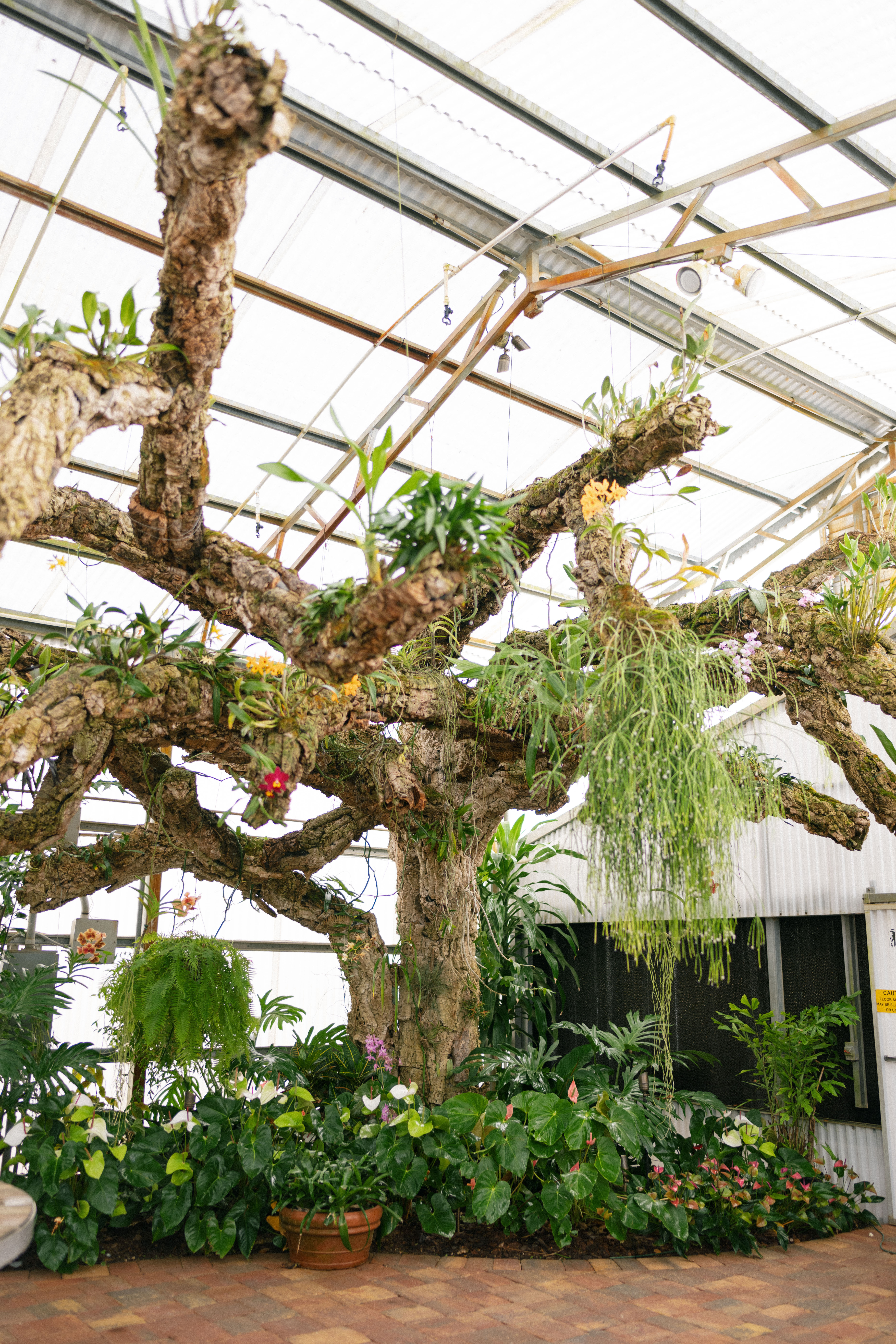 ap mision lago estate wedding hunter ryan photo-428